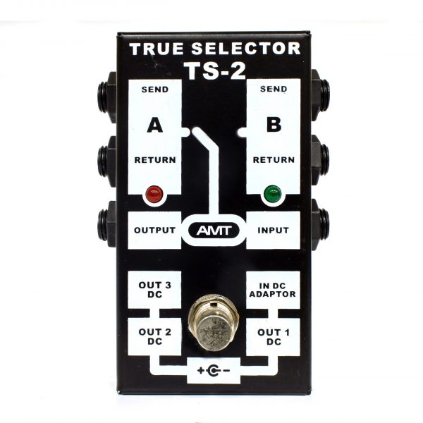 Фото 1 - AMT TS-2 True Selector - селектор на 2 петли (used).