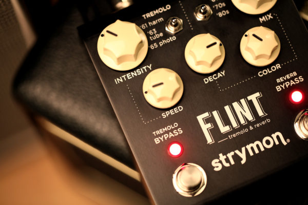 Фото 7 - Strymon Flint Tremolo and Reverb.