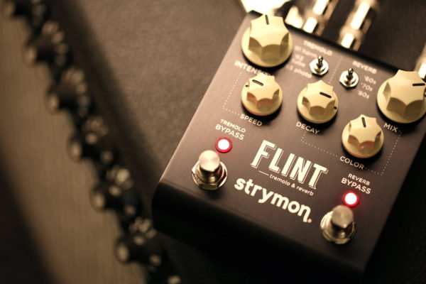 Фото 5 - Strymon Flint Tremolo and Reverb.