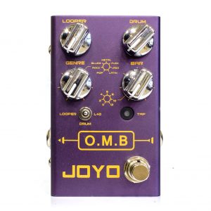 Фото 9 - Mooer Micro Looper.