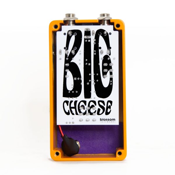 Фото 2 - Blossom Toneworks Big Cheese Fuzz.
