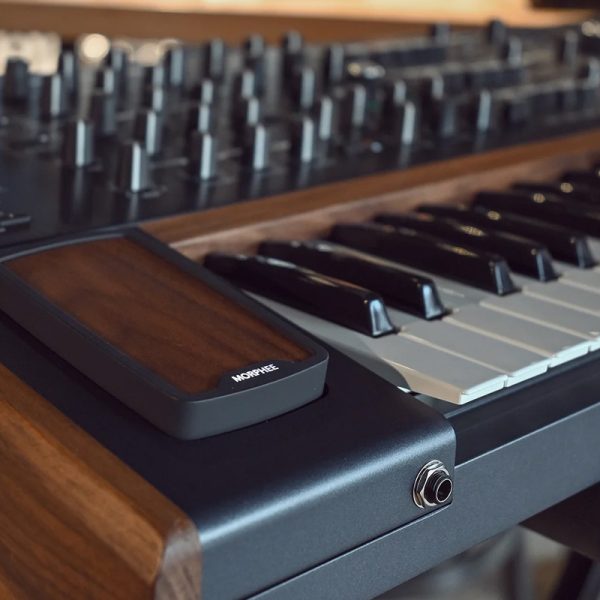 Фото 11 - Arturia PolyBrute Analog Synthesizer.